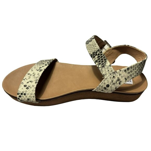 Steve Madden Aida Snakeskin Platform Leather Sandals 10M Ankle Straps NEW - Picture 2 of 9